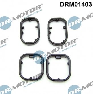 Прокладка корпуса теплообмінника масляного фільтра BMW 5 F10 DR MOTOR DRM01403 (фото 1)