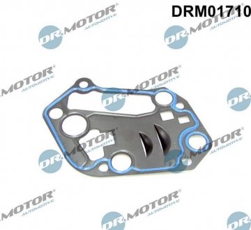 Прокладка корпуса масляного фiльтра DR MOTOR DRM01710 (фото 1)