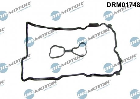 Комплект прокладок гумових DR MOTOR DRM01748