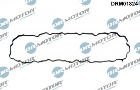 Фото автозапчастини uszczelka misy oleju DR MOTOR DRM01824