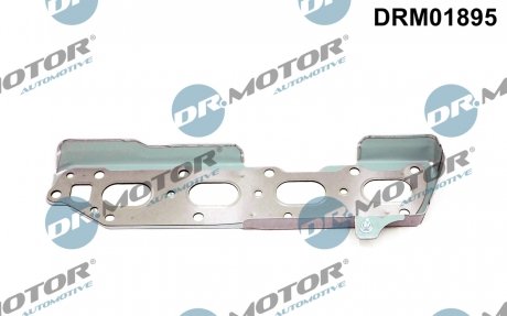 Прокладка колектора DR MOTOR DRM01895 (фото 1)
