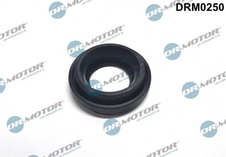 Кільце гумове DR MOTOR DRM0250 (фото 1)