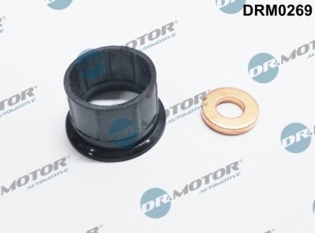 Ремкомплект форсунки 2 елементи DR MOTOR DRM0269 (фото 1)