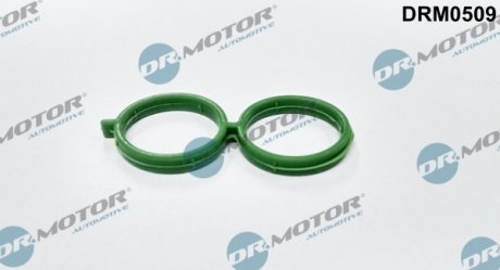 Фото автозапчастини прокладка DR MOTOR DRM0509