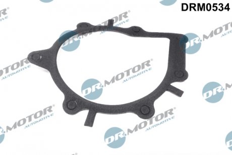 Фото автозапчасти uszczelka pompy wody ford focus 2,0tdci 09- DR MOTOR DRM0534 (фото 1)