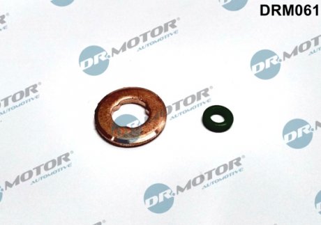 Ремкомплект форсунки 2 елементи DR MOTOR DRM061 (фото 1)