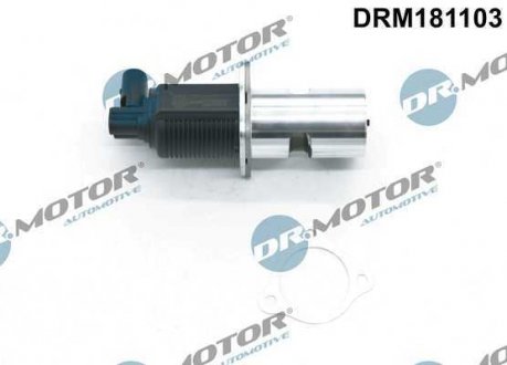 Клапан рециркуляції газів DR MOTOR DRM181103