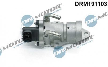 Клапан рециркуляції газів DR MOTOR DRM191103
