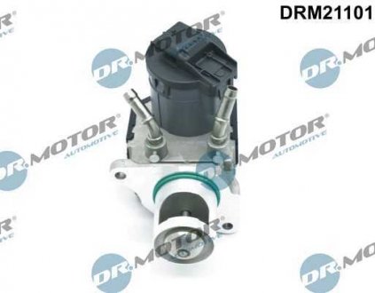 Клапан рециркуляції газів DR MOTOR DRM21101 (фото 1)