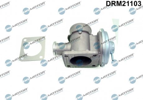 Клапан рециркуляції газів DR MOTOR DRM21103