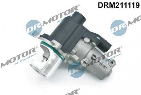 Клапан рециркуляції газів DR MOTOR DRM211119
