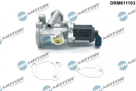Клапан рециркуляції газів DR MOTOR DRM611103