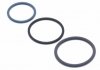 Комплект колец - уплотнительное кольцо SCANIA 4, P,G,R,T DC16.01-DT16.08 DT 1.31206 (фото 2)