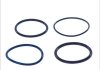 Комплект колец - уплотнительное кольцо VOLVO A, 7700, 8300, 8500, 8700, 8900, 9300, 9400, 9500, 9700, 9900, B10, B11, B12, B6, B7, B FH II, FH12, FH16 D10A320-THD100EA DT 2.91226 (фото 2)
