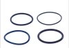 Комплект колец - уплотнительное кольцо VOLVO A, 7700, 8300, 8500, 8700, 8900, 9300, 9400, 9500, 9700, 9900, B10, B11, B12, B6, B7, B FH II, FH12, FH16 D10A320-THD100EA DT 2.91226 (фото 1)