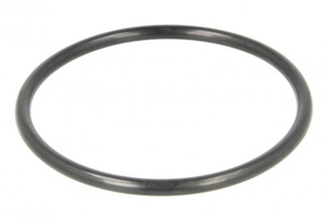 Уплотнительное кольцо (85 мм x 5,3 мм, ступица колеса NBR) MAN TGM I 10.05-03.22 DT 3.89529 (фото 1)