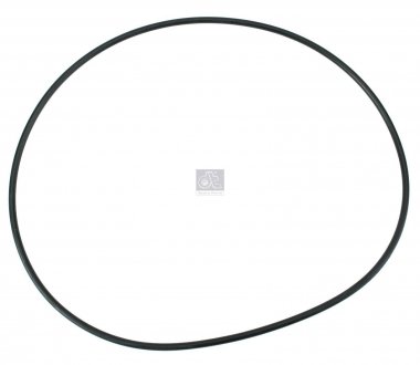 Уплотнительное кольцо редуктора MB, MAN d255x5mm DT 4.20005 (фото 1)