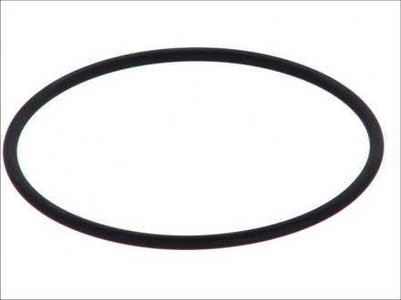 Уплотняющее кольцо гильзы цилиндра (134,6x146x5,7мм) Renault ILIADE, KERAX, PREMIUM MIDR06.23.56A/3/MIDR06.23.56A/41/MIDR06.23.56B/41 04.96- DT 6.21491 (фото 1)