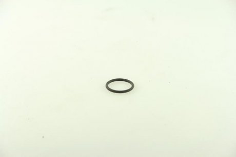 Уплотнительное кольцо форсунки RENAUL MAGNUM 390/420/430/470/560 d23.7x2.6mm DT 6.33081