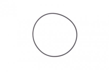 Уплотняющее кольцо гильзы цилиндра (132,94x3,53мм) IVECO EUROSTAR, EUROTECH MP, STRALIS F3AE0681B-F3AE3681D 01.93- DT 7.54524 (фото 1)