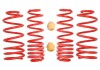 Комплект занижених пружин E20-85-001-02-22