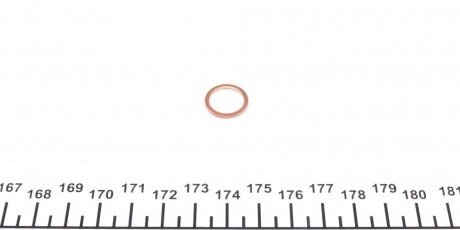 Кільце маточини колеса (12x15,5x1,5) AUDI R8, R8 SPYDER 04.07-07.15 ELRING 110.353 (фото 1)