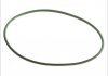 Уплотняющее кольцо гильзы цилиндра (144x151,6x3,8мм, зелен.) 405, О 407, О 408, ОХ, SK M476.930-OM447.999 825131
