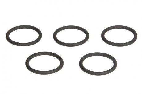 Інжектор O-ring } (ціна за 5 шт., внутрішній діаметр 17мм, зовнішній діаметр 19мм, товщина 2мм) AUDI 100 C3, 100 C4, 80 B3, 80 B4, A6 C4 1.6-2.3 06.86-01.96 ENGITECH ENT250244 (фото 1)