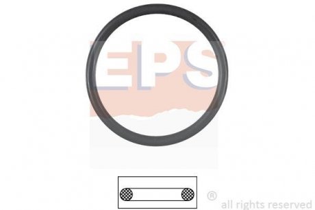 Прокладка, термостат EPS 1.890.538 (фото 1)