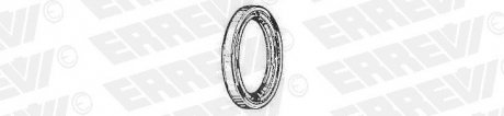 Уплотняющее кольцо, ступица колеса ERREVI 730765 (фото 1)