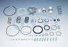 Фото автозапчасти комплект ремонтный влагоотделителя. DAF, IVECO (Knorr) 50 pcs. kit (II37677008, LA8116, LA8117, LA8118, LA8119, LA8122, LA8125, LA8130, LA8137, LA8145, LA8146, LA8147, LA8148, LA8149, LA8156, LA8157) F.S.S 01128012 (фото 1)