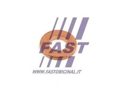 Шайба медная под форсунку Fiat Ducato 2.2 JTD (06-) FAST FT49848 (фото 1)