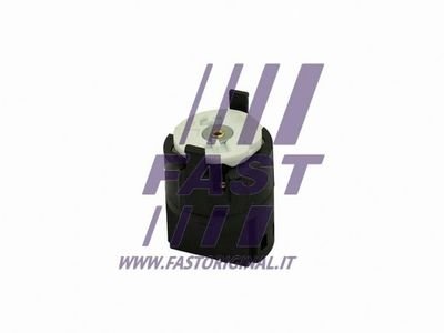Контактная группа замка зажигания Fiat Ducato (06-) 5 PIN FAST FT82410 (фото 1)