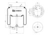 Фото автозапчасти задняя пневматическая подвеска левый/правый SCANIA 4 BUS, F, L,P,G,R,S, P,G,R,T 08.97- FEBI BILSTEIN 39859 (фото 1)