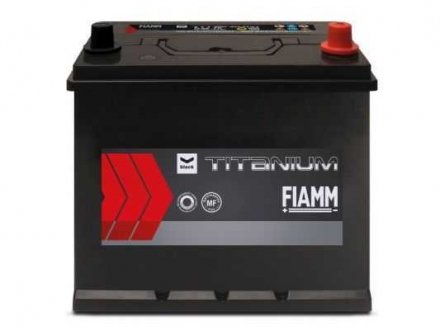 Акумуляторна батарея 75А FIAMM 7905188 (фото 1)