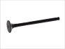 Фото автозапчасти выпускной клапан (24x6x102) TOYOTA AVENSIS, AVENSIS VERSO, COROLLA, COROLLA VERSO, PREVIA, RAV 4 II 2.0D 10.99-03.09 FRECCIA 6184/RNT (фото 1)