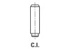 Фото автозапчастини направляюча клапана FRECCIA G11021 (фото 2)