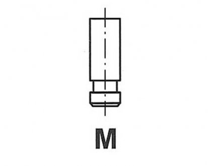 Фото автозапчастини клапан двигуна FRECCIA R4486RNT