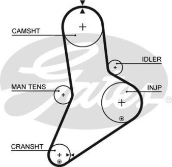 Фото автозапчастини автозапчасть Gates 5038
