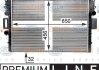 Радіатор двигуна (МКПП, без рами) IVECO DAILY III 2.3D 09.02-07.07 HELLA BEHR 8MK 376 774-421 (фото 1)