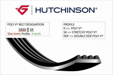 Ремень генератора Audi A6 4.2 98-05/A8 3.7/4.2 98-02 (6PK2648) HUTCHINSON 2648K6 (фото 1)
