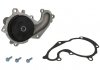 Водяной насос FORD C-MAX, FIESTA, FIESTA IV, FOCUS, FOCUS C-MAX, FOCUS II, GALAXY, MONDEO IV, S-MAX, TOURNEO CONNECT, TRANSIT CONNECT 1.8D 10.98-06.15 INA 538 0256 10 (фото 1)