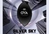 Ароматизатор для салону авто Oya "Срібне небо" K2 V904 (фото 4)
