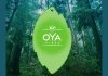 Освежитель воздуха салона Oya Rainforest (Тропический лес) K2 V914 (фото 4)