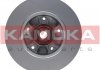 Гальмівний диск KAMOKA 1031066 (фото 2)