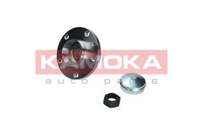 Комплект підшипника колеса KAMOKA 5500169 (фото 1)