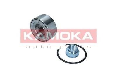 Комплект підшипника колеса KAMOKA 5600103