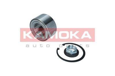 Комплект підшипника колеса KAMOKA 5600146