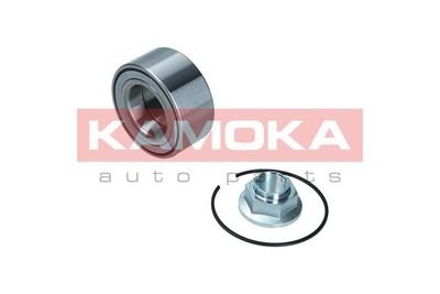 Комплект підшипника колеса KAMOKA 5600180