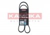 Фото автозапчастини pasek micro-v 4 pk 1125 KAMOKA 7014069 (фото 1)